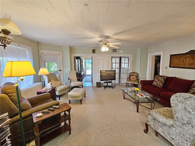 18 Wheeler St, Deposit, NY 13754 - living area featuring ceiling fan and carpet floors