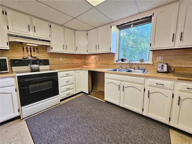 18 Wheeler St, Deposit, NY 13754 - kitchen featuring tasteful backsplash, range with electric cooktop, a sink, and under cabinet range hood
