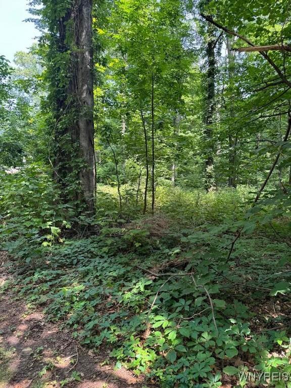 1777 Oakwood Dr, Newfane, NY 14028