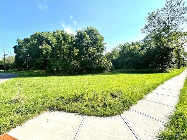 55 Case Ave, Auburn, NY 13021 - photo 1