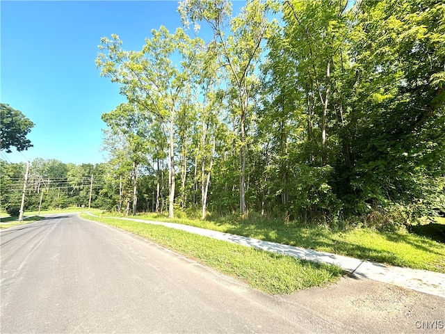 53 Case Ave, Auburn NY, 13021 land for sale