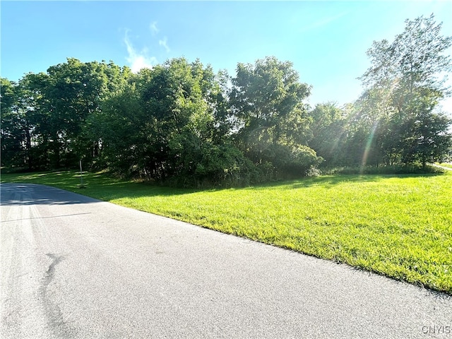 26 Bradley St, Auburn NY, 13021 land for sale