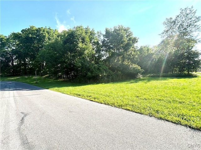 26 Bradley St, Auburn, NY 13021 - photo 1
