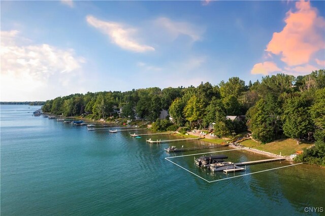 property view of water featuring a boat dock