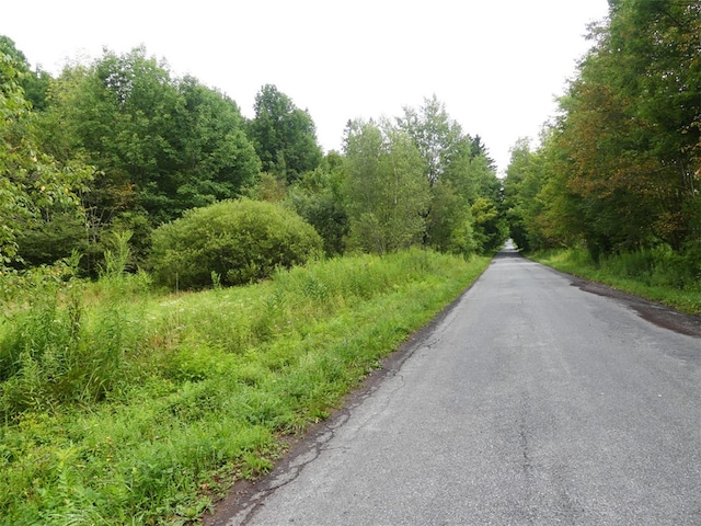 Listing photo 3 for LOT10.7 Fall Clove Rd, Andes NY 13752