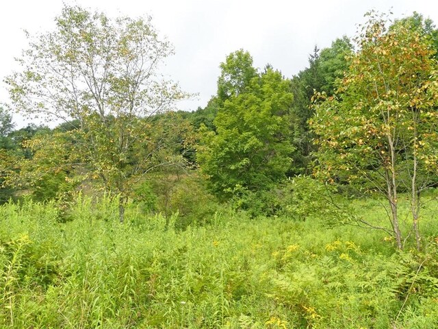 LOT10.7 Fall Clove Rd, Andes, NY 13752