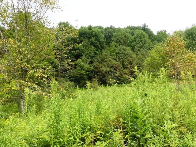 LOT10.7 Fall Clove Rd, Andes, NY 13752