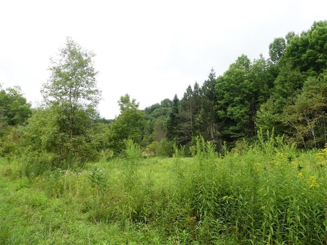 LOT10.7 Fall Clove Rd, Andes, NY 13752