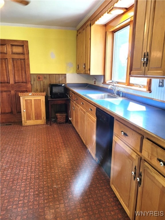 kitchen featuring sink, wood walls, ornamental molding, and black appliances