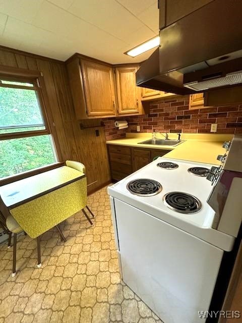 kitchen with white electric range oven and sink