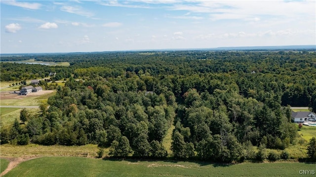 20467 Morin Ln N, Hounsfield, NY 13685 - photo 6