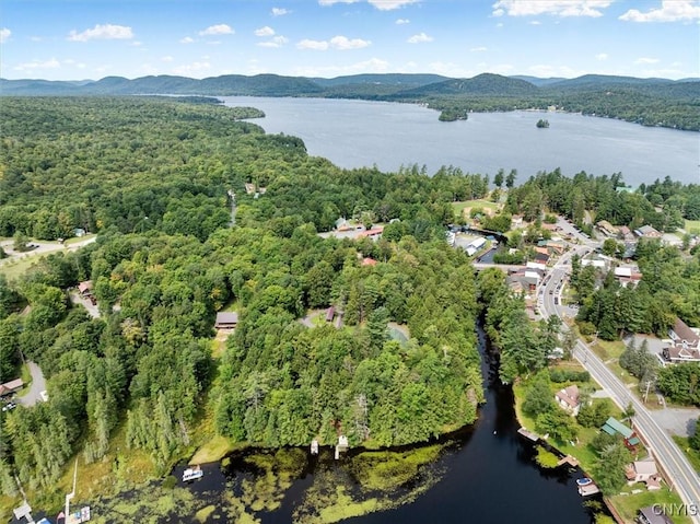 bird's eye view featuring a water and mountain view