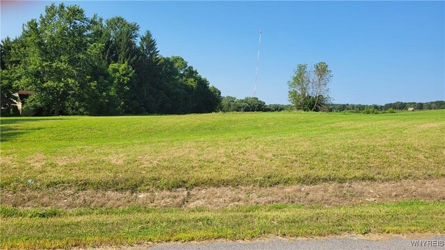 0 Dillon Rd, Pavilion NY, 14525 land for sale