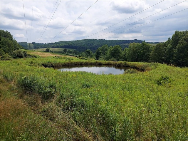 mountain view with a water view