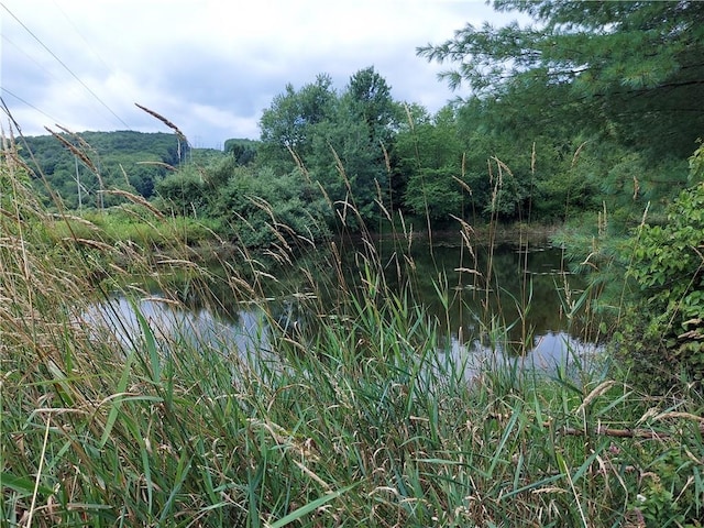 view of landscape featuring a water view