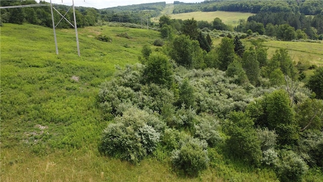 birds eye view of property featuring a rural view