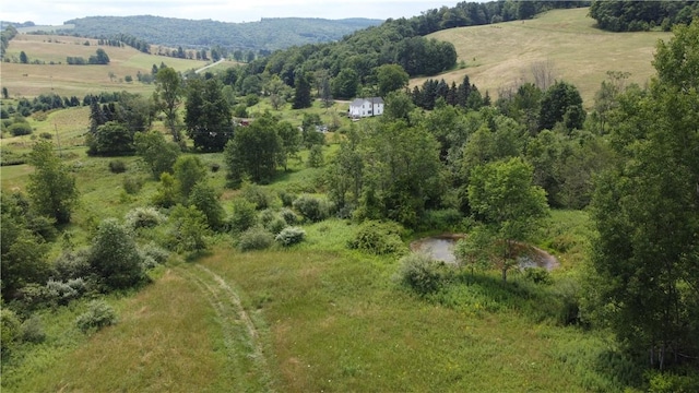 aerial view with a rural view