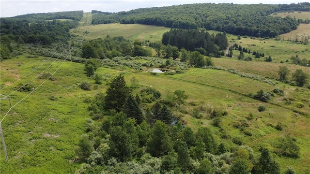 birds eye view of property with a rural view