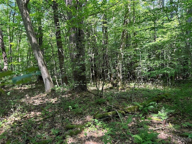 6546 Richburg Hill Rd, Wirt NY, 14715 land for sale