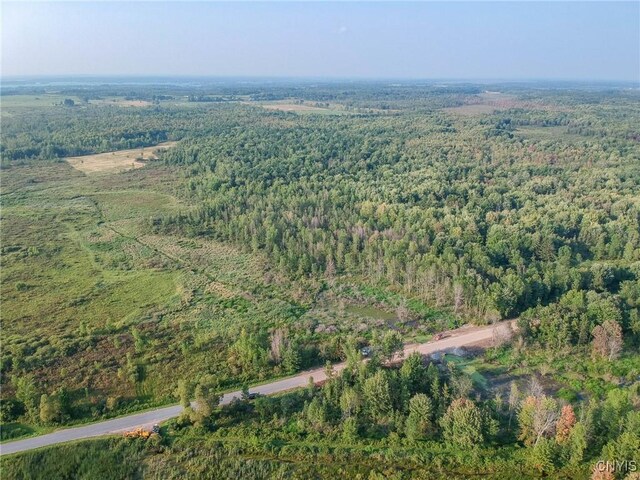 0 Black Creek Rd, Clayton, NY 13624 - photo 4