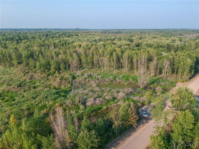 0 Black Creek Rd, Clayton, NY 13624 - photo 6