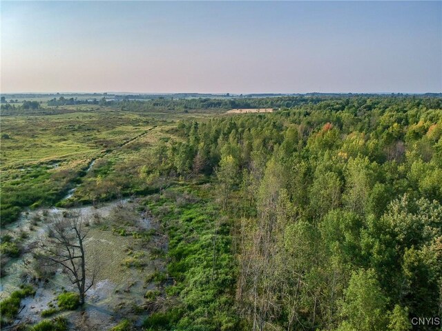 0 Black Creek Rd, Clayton, NY 13624 - photo 10