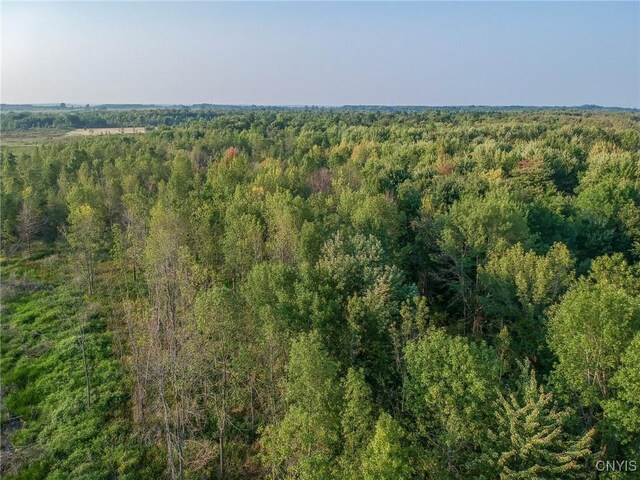 0 Black Creek Rd, Clayton, NY 13624 - photo 11