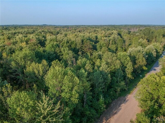 0 Black Creek Rd, Clayton, NY 13624 - photo 12
