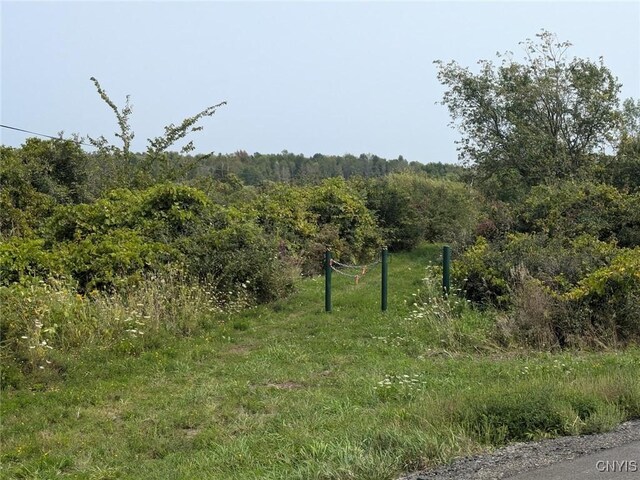 0 Black Creek Rd, Clayton, NY 13624 - photo 21