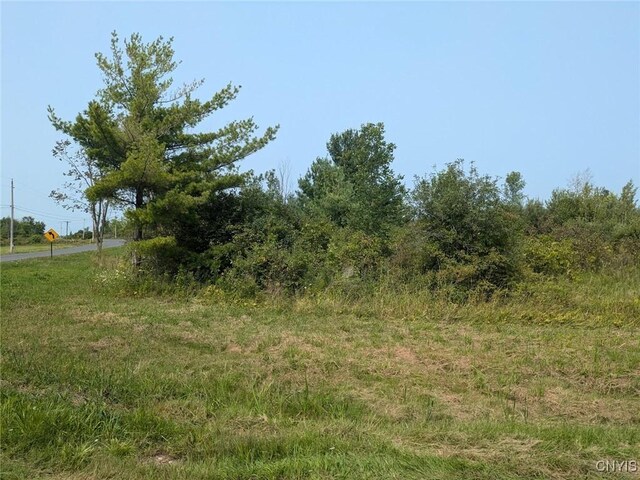 0 Black Creek Rd, Clayton, NY 13624 - photo 22