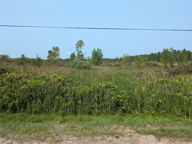 0 Black Creek Rd, Clayton, NY 13624 - photo 24
