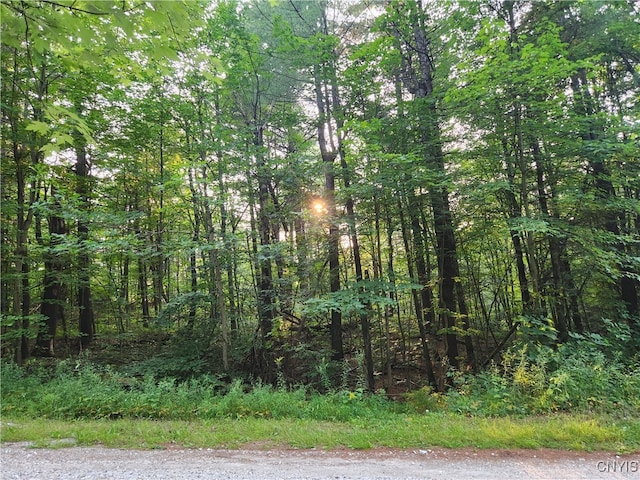 LOT13 Whitaker Rd, Rossie NY, 13646 land for sale