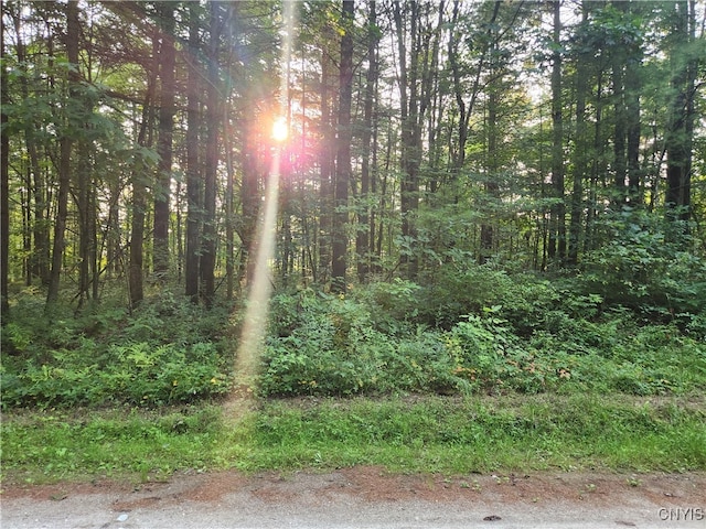 Listing photo 3 for LOT13 Whitaker Rd, Rossie NY 13646