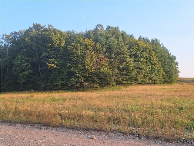 view of landscape