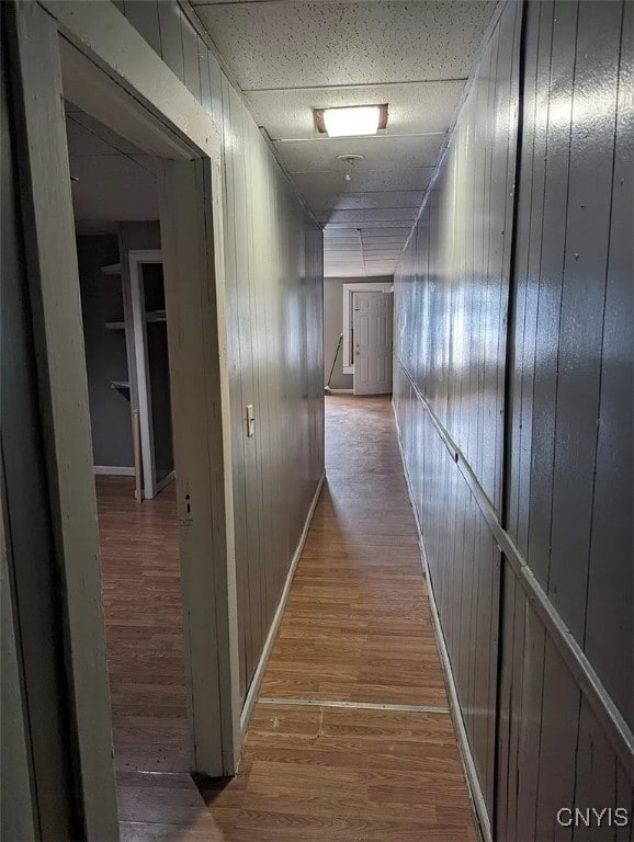 hallway featuring wood walls and hardwood / wood-style flooring