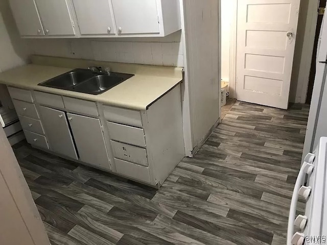 kitchen with sink and dark hardwood / wood-style flooring