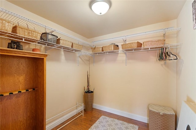 spacious closet with wood-type flooring