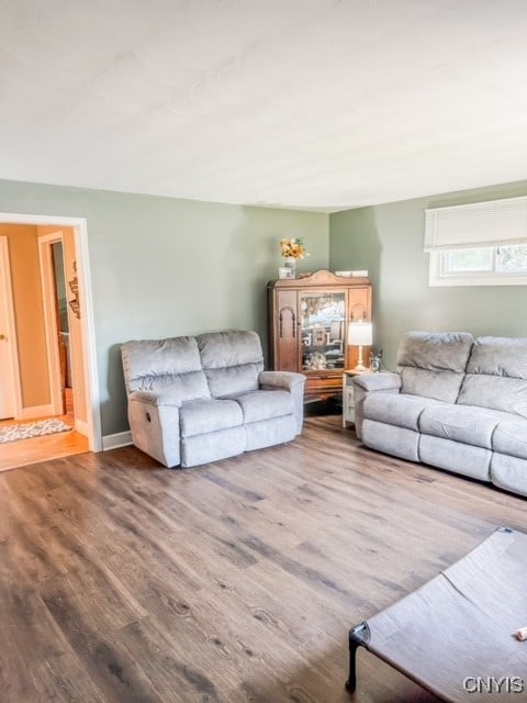 living room featuring wood-type flooring