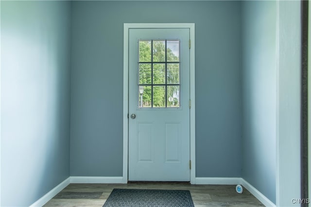 doorway to outside featuring wood-type flooring