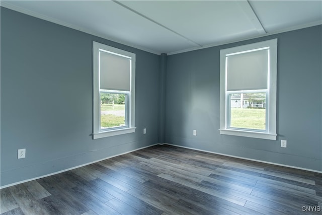 spare room featuring wood-type flooring