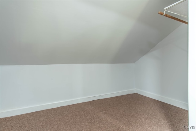 bonus room featuring carpet and vaulted ceiling