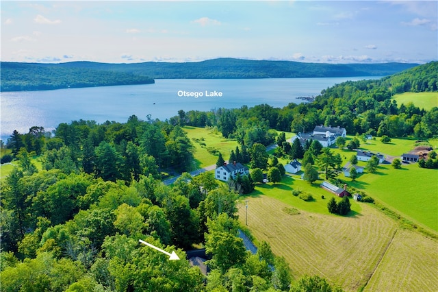 birds eye view of property with a water view and a rural view