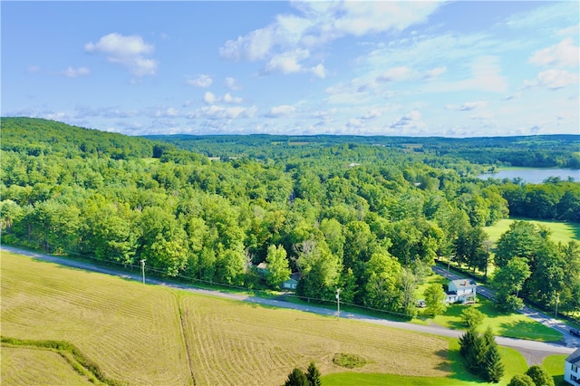 drone / aerial view featuring a water view and a rural view