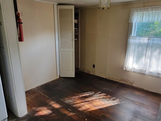 empty room featuring dark hardwood / wood-style flooring