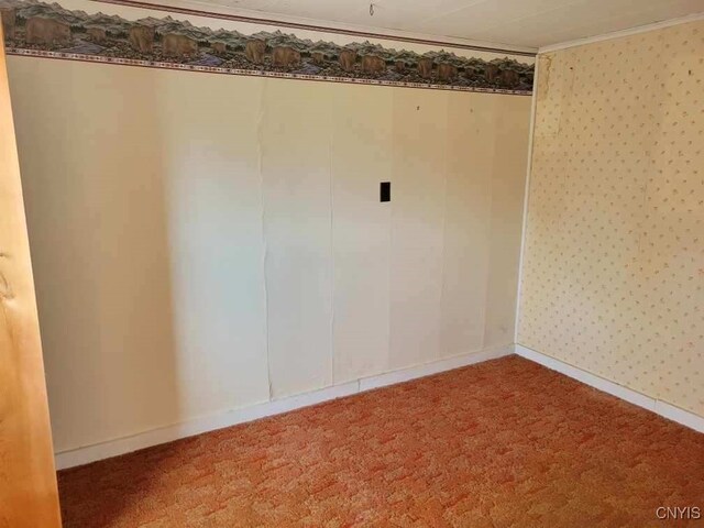 carpeted empty room featuring crown molding