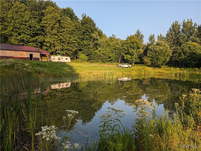 9152 Rte 219, Ashford, NY 14171