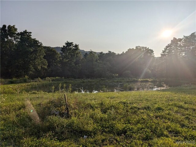 9152 Rte 219, Ashford, NY 14171