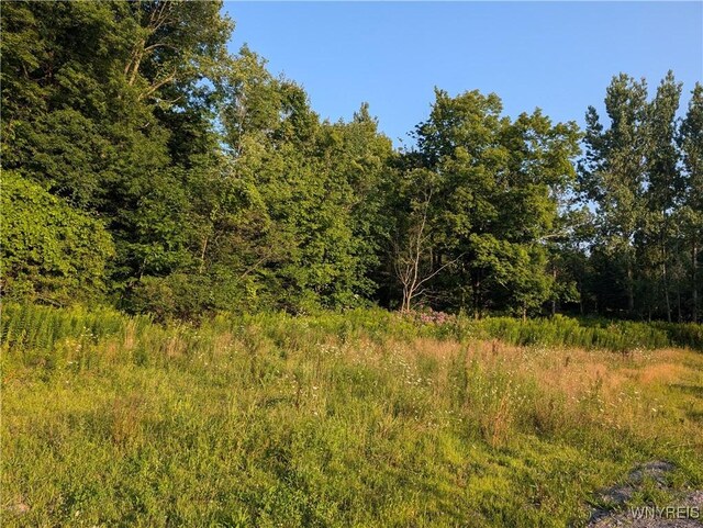 9152 Rte 219, Ashford, NY 14171