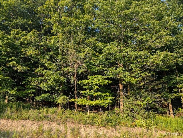 9152 Rte 219, Ashford, NY 14171