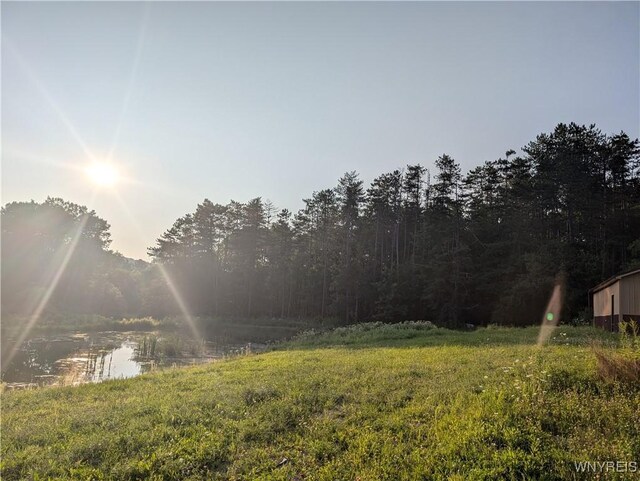 9152 Rte 219, Ashford, NY 14171